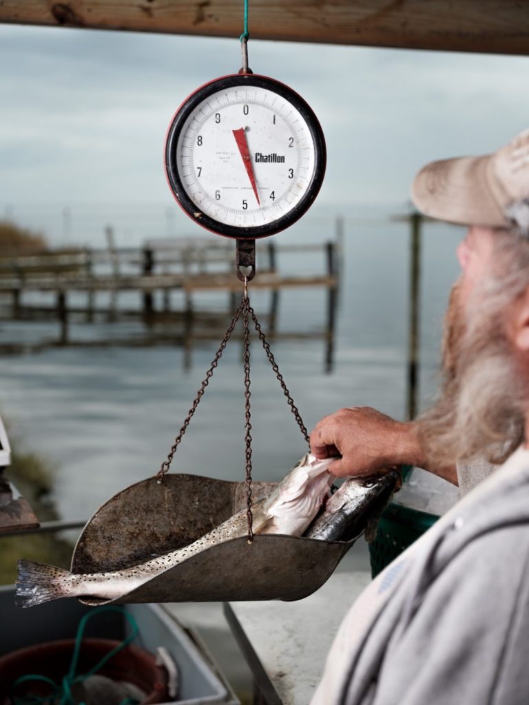 Endurance seafood