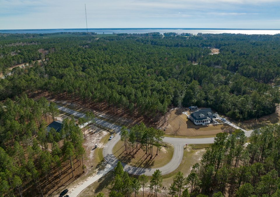 March 2022 Neighborhood Update
