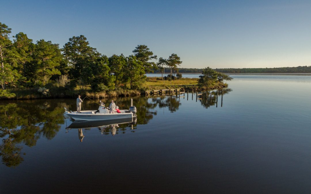 Fishing around AP