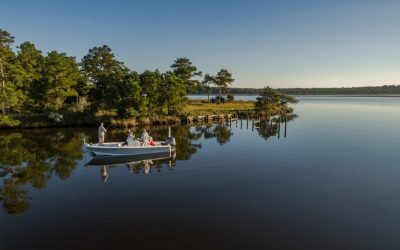 Fishing around AP