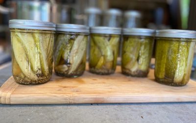 Summertime Canning Guide for Perfect Dill Pickles