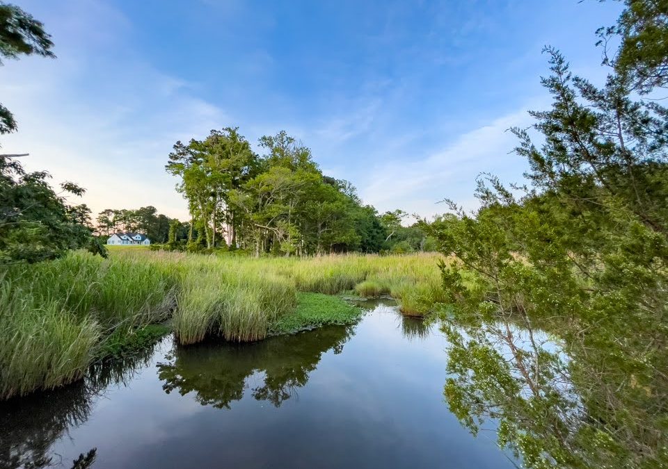 July 2022 Neighborhood Update
