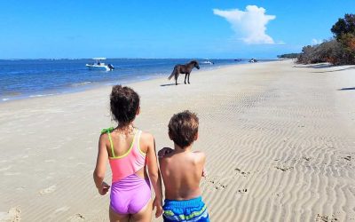 Day Trippin’ to Shackleford Banks