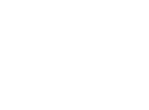 AP-logo-300-white