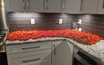 Tastes Like Summer Tomato Pie