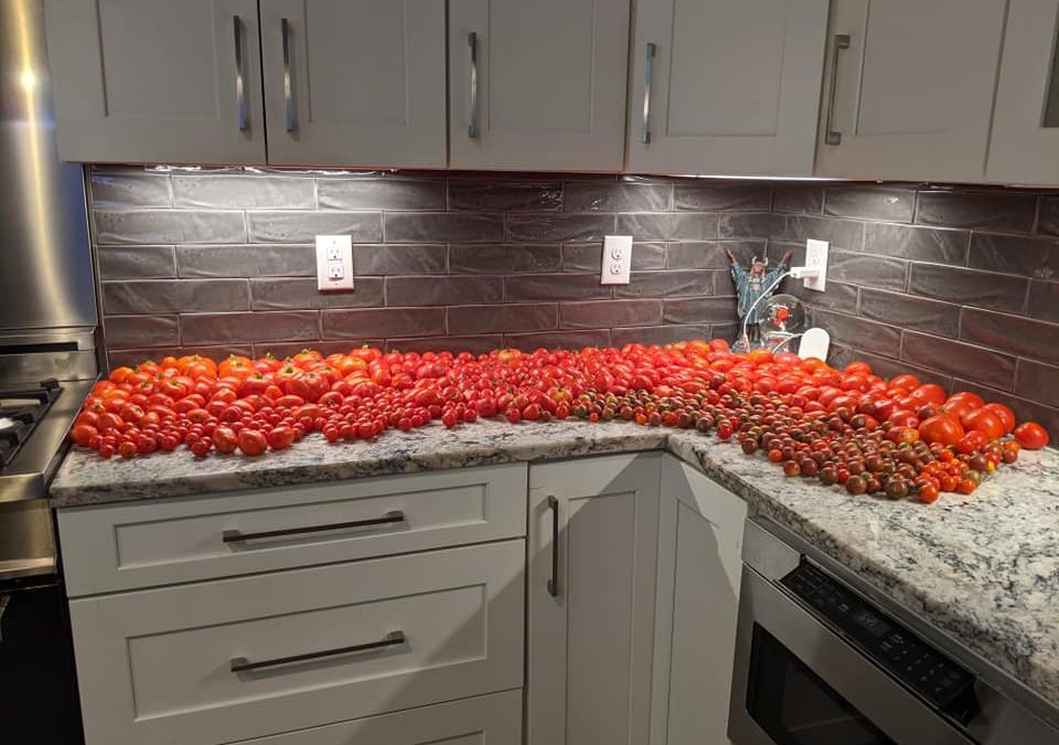 Tastes Like Summer Tomato Pie