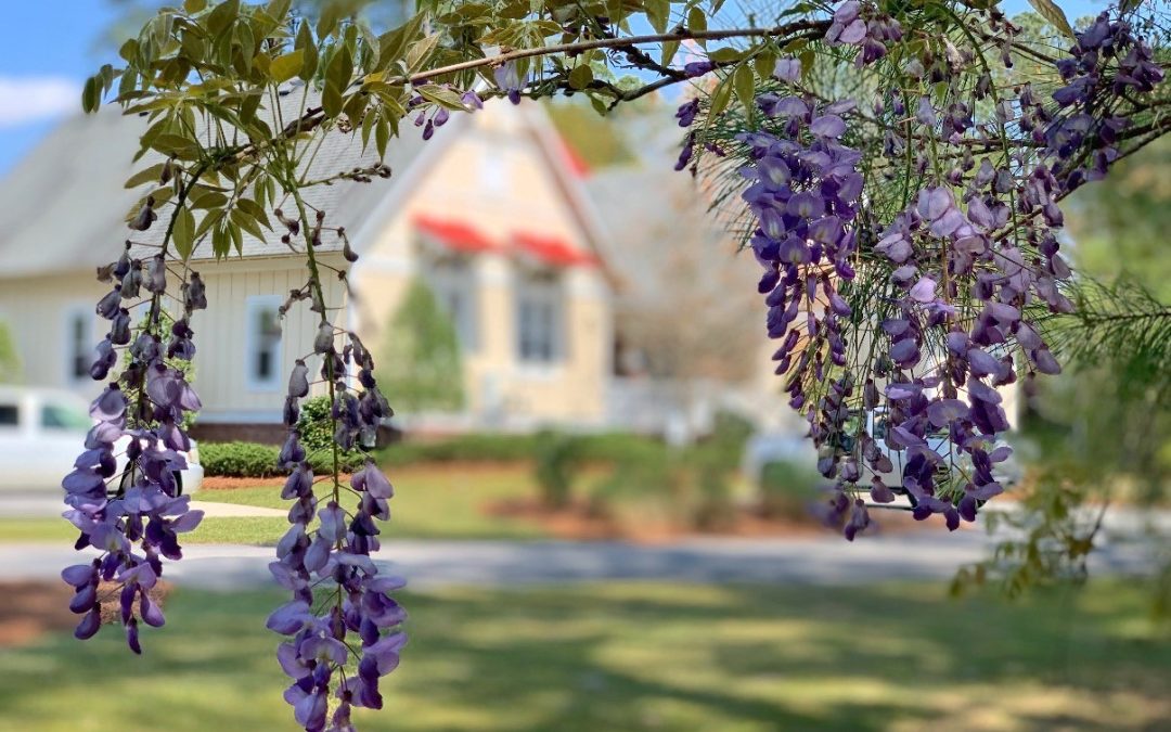 March 2026 Neighborhood Update