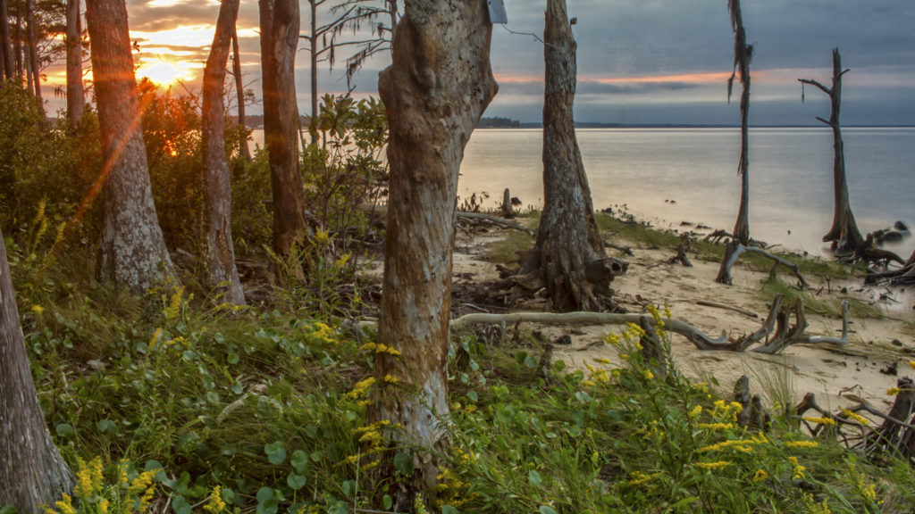Sunset from the Pine Cliffs Recreation Area in the Croatan National Forest.